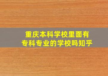 重庆本科学校里面有专科专业的学校吗知乎