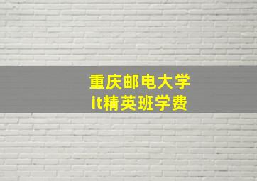 重庆邮电大学it精英班学费