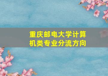 重庆邮电大学计算机类专业分流方向