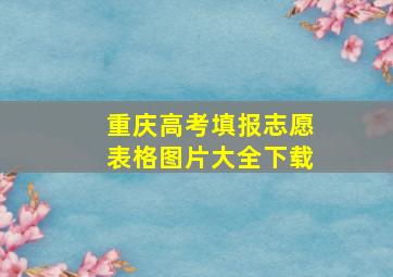 重庆高考填报志愿表格图片大全下载