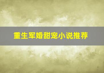 重生军婚甜宠小说推荐