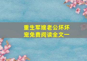 重生军嫂老公坏坏宠免费阅读全文一