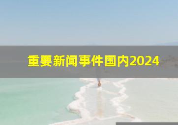 重要新闻事件国内2024