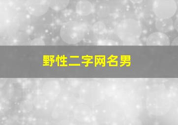 野性二字网名男