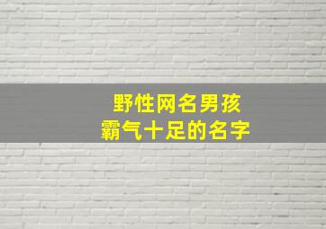 野性网名男孩霸气十足的名字