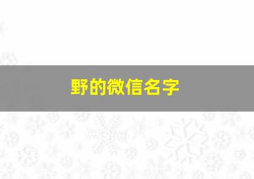 野的微信名字