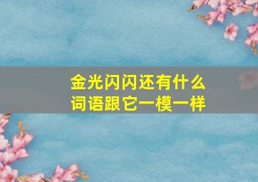 金光闪闪还有什么词语跟它一模一样