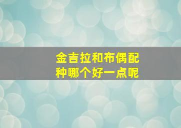 金吉拉和布偶配种哪个好一点呢