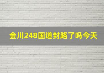 金川248国道封路了吗今天