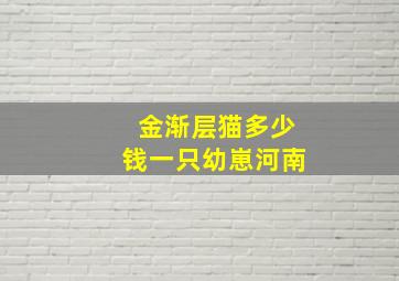 金渐层猫多少钱一只幼崽河南