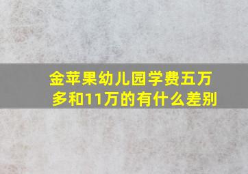 金苹果幼儿园学费五万多和11万的有什么差别