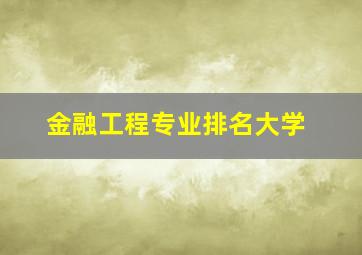 金融工程专业排名大学