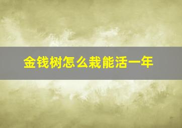 金钱树怎么栽能活一年