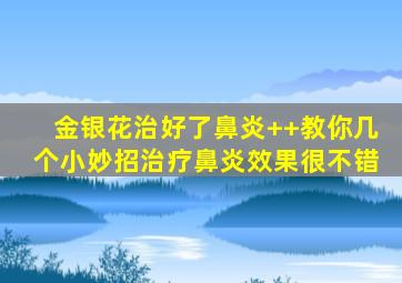 金银花治好了鼻炎++教你几个小妙招治疗鼻炎效果很不错