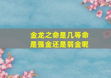 金龙之命是几等命是强金还是弱金呢