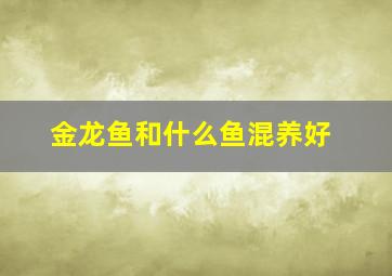 金龙鱼和什么鱼混养好