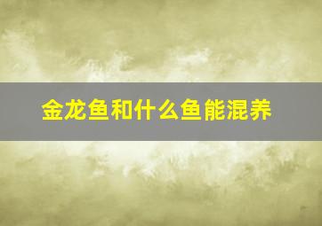 金龙鱼和什么鱼能混养