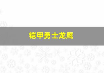 铠甲勇士龙鹰