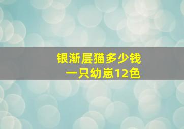 银渐层猫多少钱一只幼崽12色