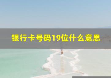 银行卡号码19位什么意思