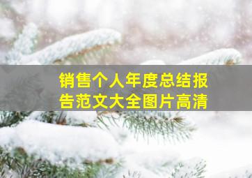 销售个人年度总结报告范文大全图片高清