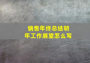 销售年终总结明年工作展望怎么写