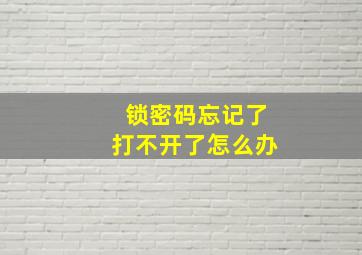 锁密码忘记了打不开了怎么办