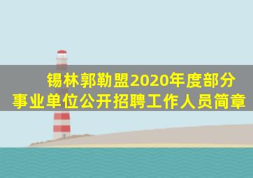 锡林郭勒盟2020年度部分事业单位公开招聘工作人员简章