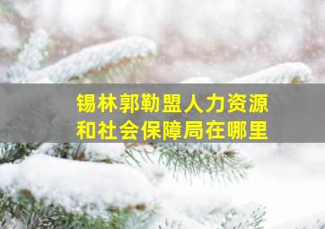 锡林郭勒盟人力资源和社会保障局在哪里