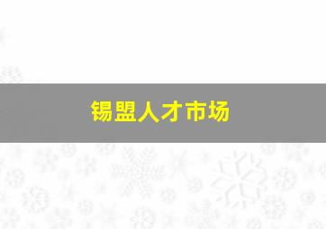 锡盟人才市场