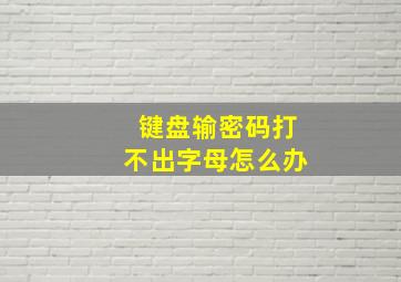 键盘输密码打不出字母怎么办