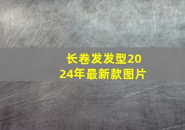 长卷发发型2024年最新款图片