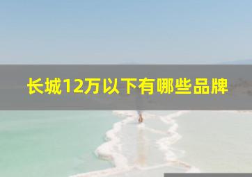 长城12万以下有哪些品牌