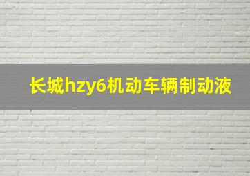 长城hzy6机动车辆制动液