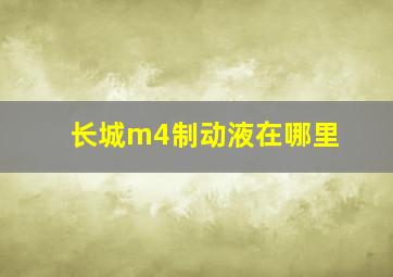 长城m4制动液在哪里