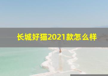 长城好猫2021款怎么样