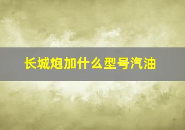 长城炮加什么型号汽油