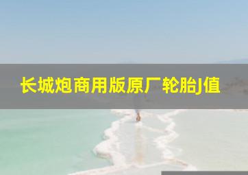 长城炮商用版原厂轮胎J值