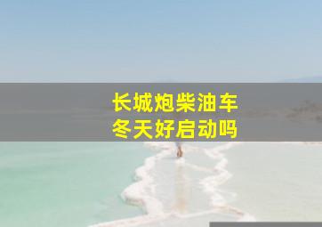 长城炮柴油车冬天好启动吗