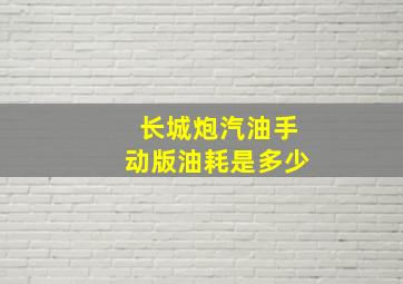 长城炮汽油手动版油耗是多少