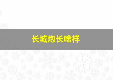 长城炮长啥样