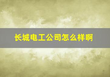 长城电工公司怎么样啊