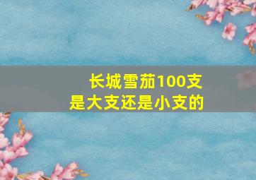 长城雪茄100支是大支还是小支的