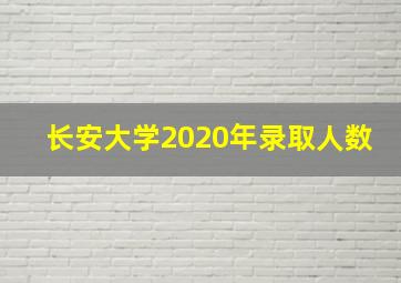 长安大学2020年录取人数