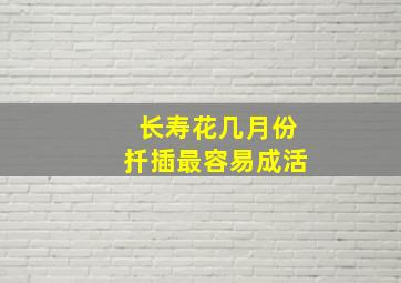 长寿花几月份扦插最容易成活