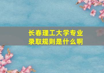 长春理工大学专业录取规则是什么啊