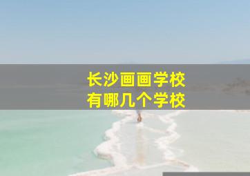 长沙画画学校有哪几个学校