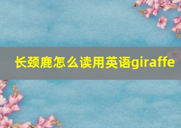 长颈鹿怎么读用英语giraffe