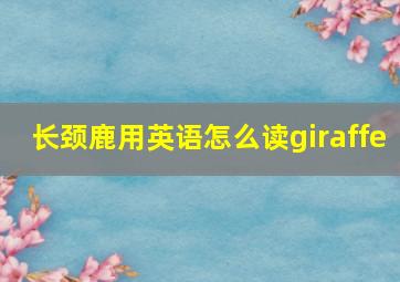 长颈鹿用英语怎么读giraffe