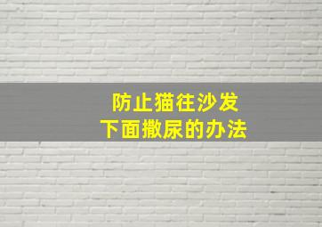 防止猫往沙发下面撒尿的办法